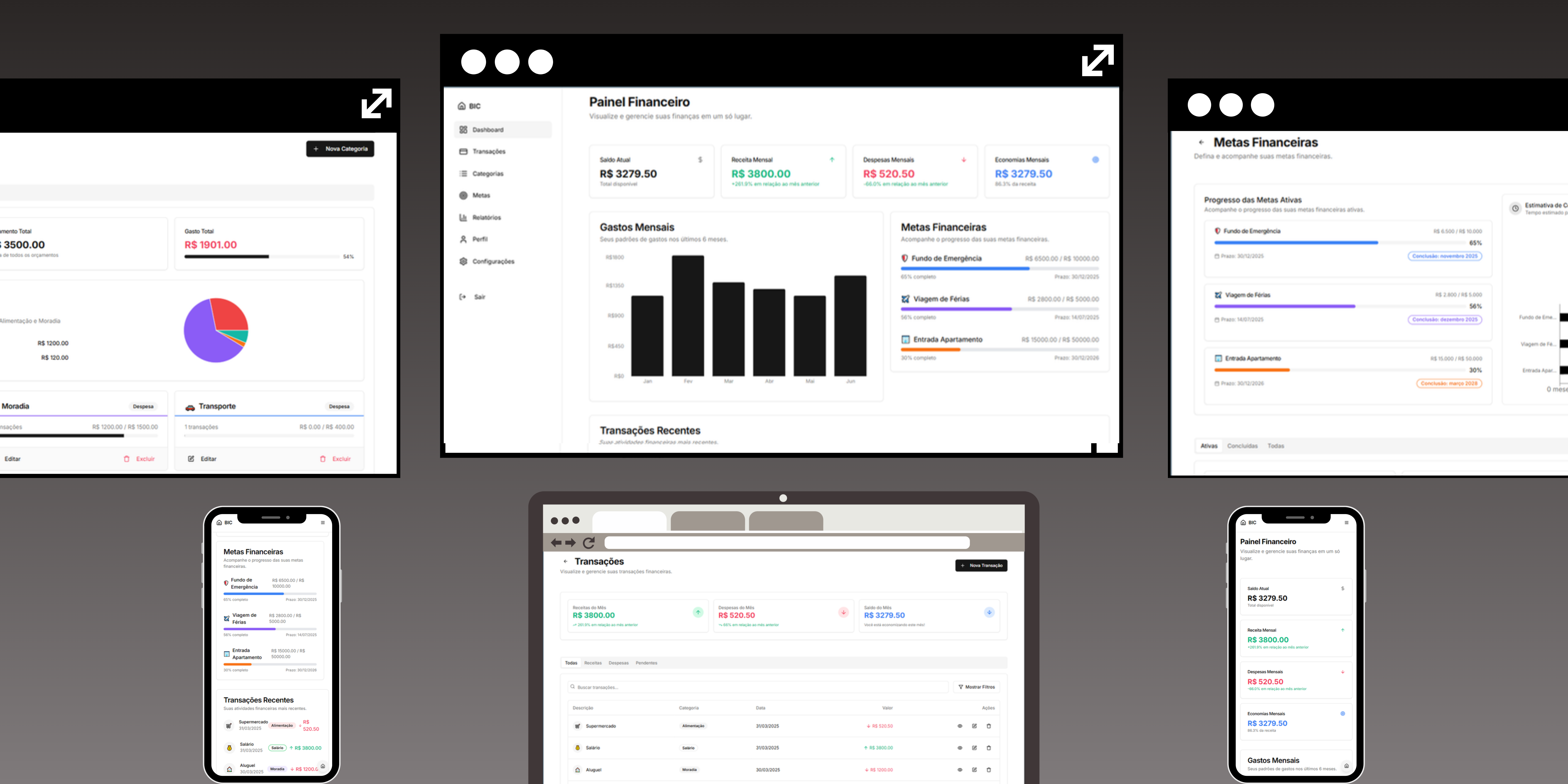 BIC - BACK IN CONTROL